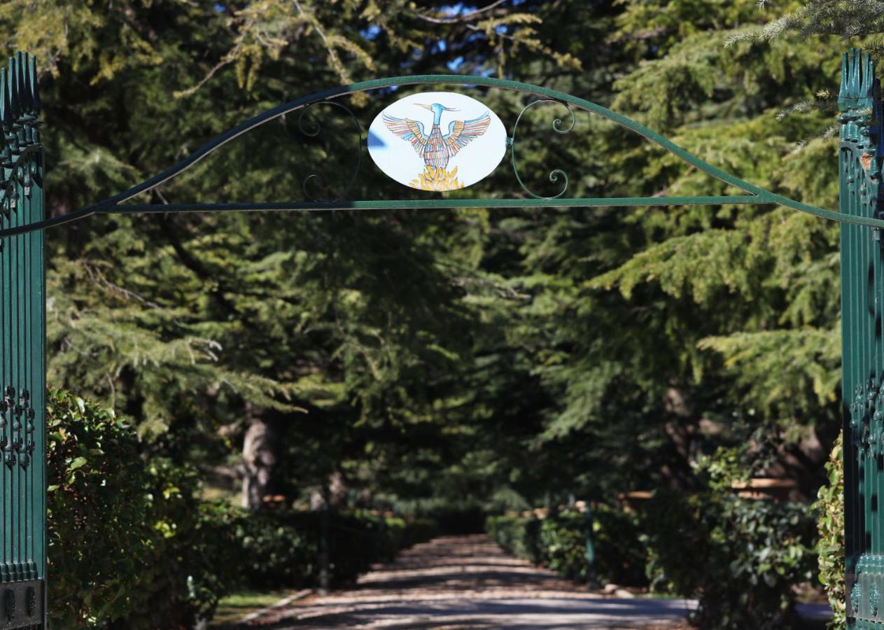 Villa Fenicia Ruvo di Puglia Bagian luar foto