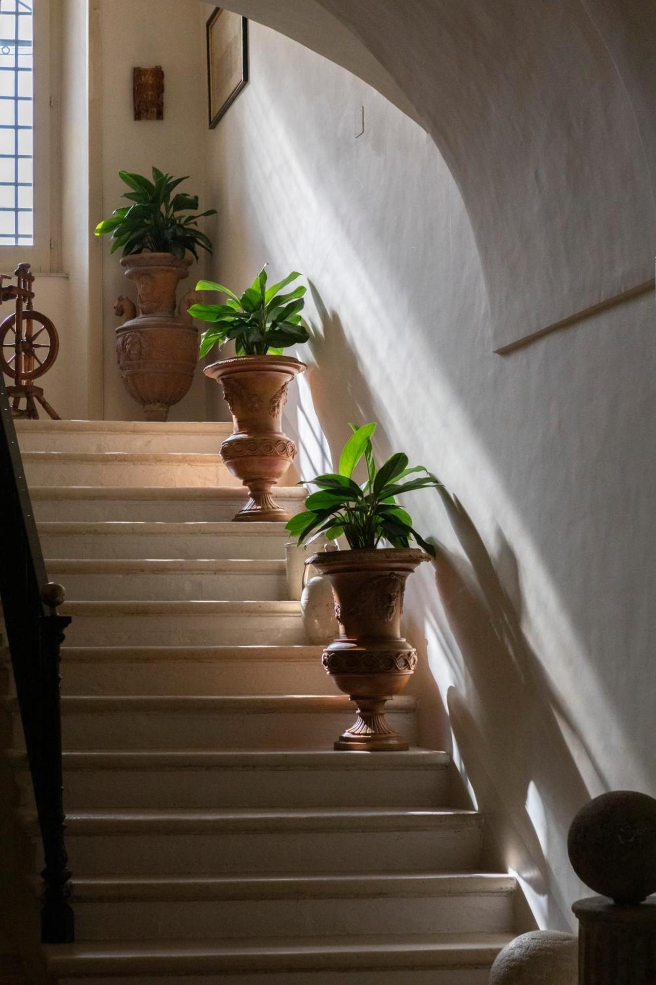 Villa Fenicia Ruvo di Puglia Bagian luar foto